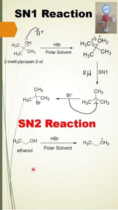 Sn1 Vs Sn2 Organic Chemistry Youtubeshorts Chemistrylearning 12boardexam Youtube