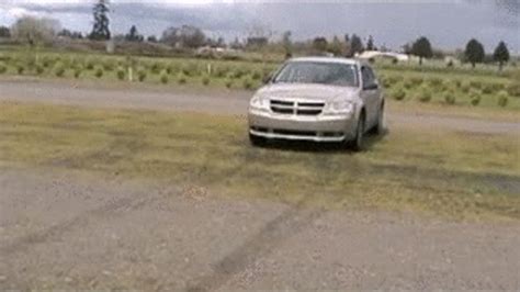 Jasmine The Revving Queen In Wmv The Laughing Latina Clips Sale