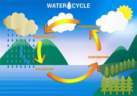 Evaporation Diagram