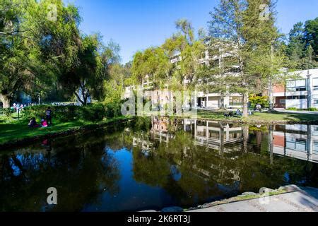 The park and lagoon at the University of Concepcion Campus, Chile Stock Photo - Alamy