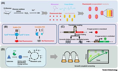 Advances In Ultrahigh Throughput Screening Technologies For Protein