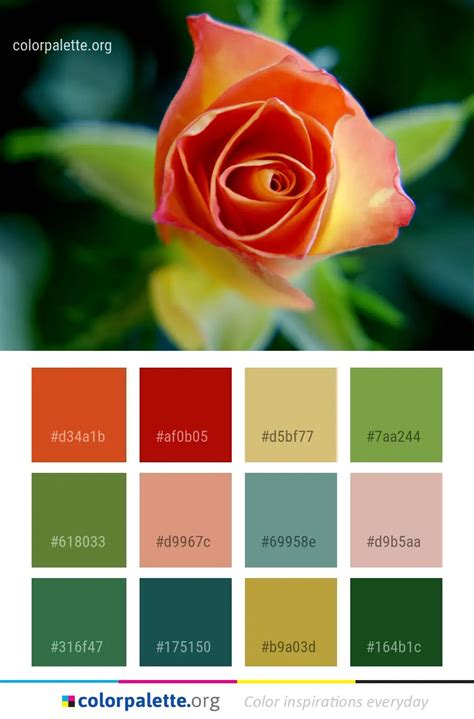 Flower Rose Garden Roses Color Palette | colorpalette.org