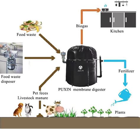 Puxin Home Biogas Plant Diy Household Biogas Sri Lanka Ubuy