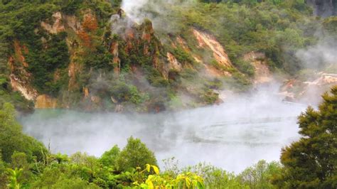 Volcanoes and Rainforest Full Day Tour - Bay of Plenty | Hurb