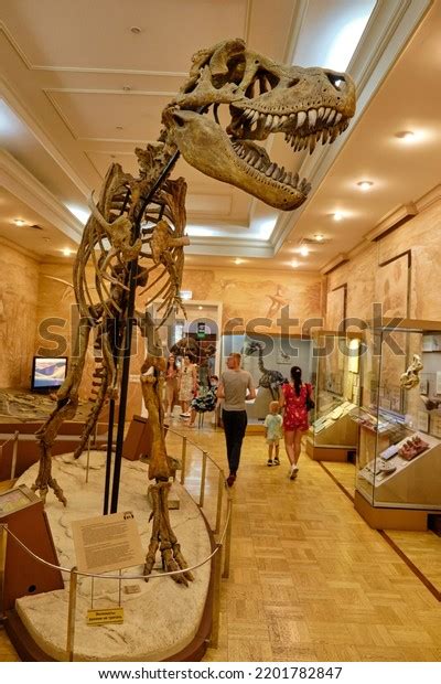 Dinosaur Skeleton Museum Natural History Kazan Stock Photo 2201782847 ...