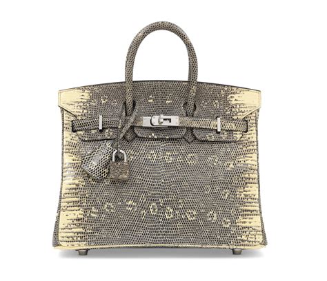 A Rare Ombr Salvator Lizard Birkin With Palladium Hardware