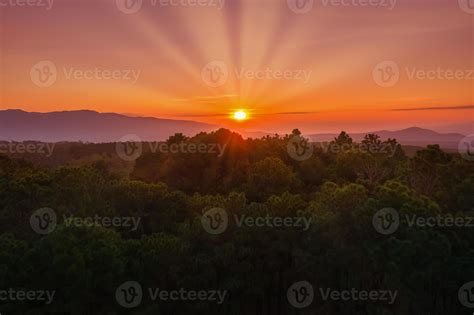 Aerial view of sunrise over mountian and pine tree in Chiang Mai ...