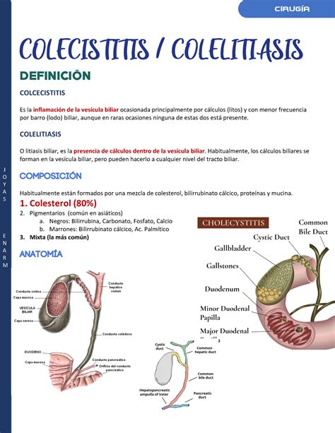 Colecisititis Colelitiasis J O Y A S E N A R M Colecistitis