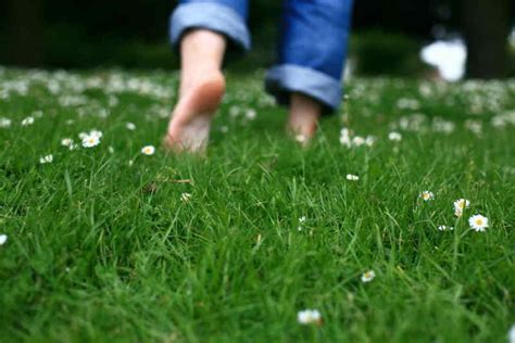 You Will Walk Barefoot On Grass After Reading This Health Benefits Of