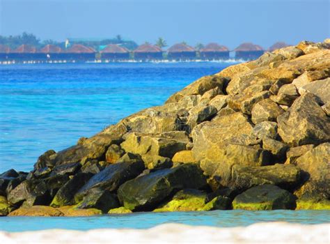 Maldives View from the Beach. Stock Photo - Image of tropical, tropics ...