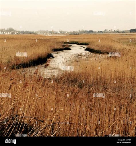 Field Marsh Marshy Hi Res Stock Photography And Images Alamy