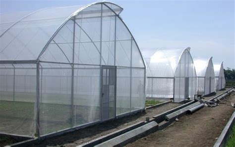 Greenhouse Baja Ringan