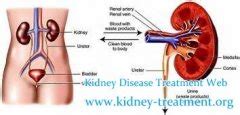 Hypertensive Nephropathy Symptoms - Page 1 - Kidney Disease Treatment ...