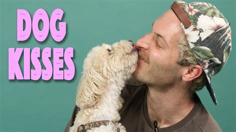 Dog Lovers Kiss Dogs While Learning Gross Facts About Dogs Mouths