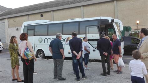 Bus Navetta Per Il Centro Storico Dal Agosto Al Settembre Alqamah