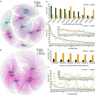The interaction network analyses between transcription factors (TFs ... 
