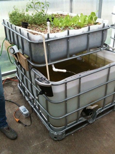 Ibc Aquaponics Setup Hydroponicssetup Acuaponía Jardinería