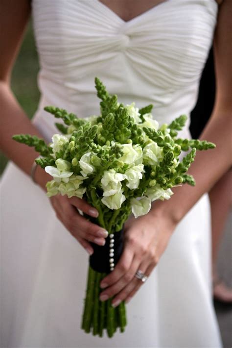 38 Best Wedding Flowers Snapdragons Images On Pinterest Wedding