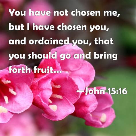 John 15 16 You Have Not Chosen Me But I Have Chosen You And Ordained