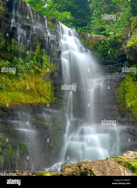 waterfall through a dense lush forest Stock Photo - Alamy