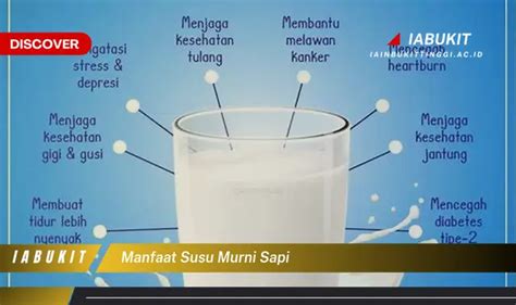 Intip 7 Manfaat Susu Murni Sapi Yang Bikin Kamu Penasaran Discover