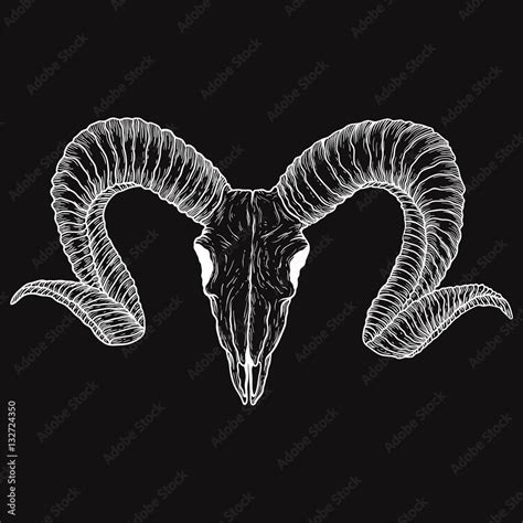 Goat skull hand drawn. Drawing sketch of the skull of a goat. A demon ...