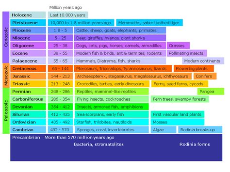 Cool Evolution: Timeline of Life