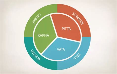 Ritucharya Basics Ayurveda Seasonal Routine From The Horse`s Mouth