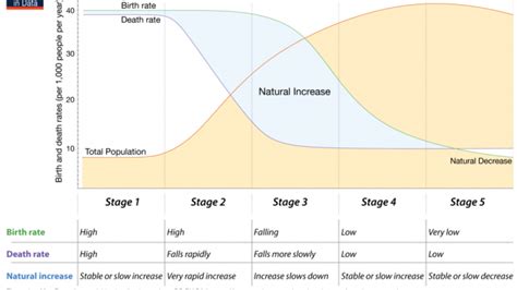 Stages Of Demographic Transition Model