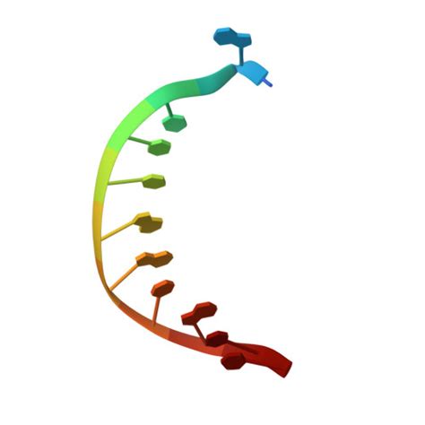 Rcsb Pdb E J Human Dna Polymerase Eta Dna Rg Ended Primer Dgmpnpp