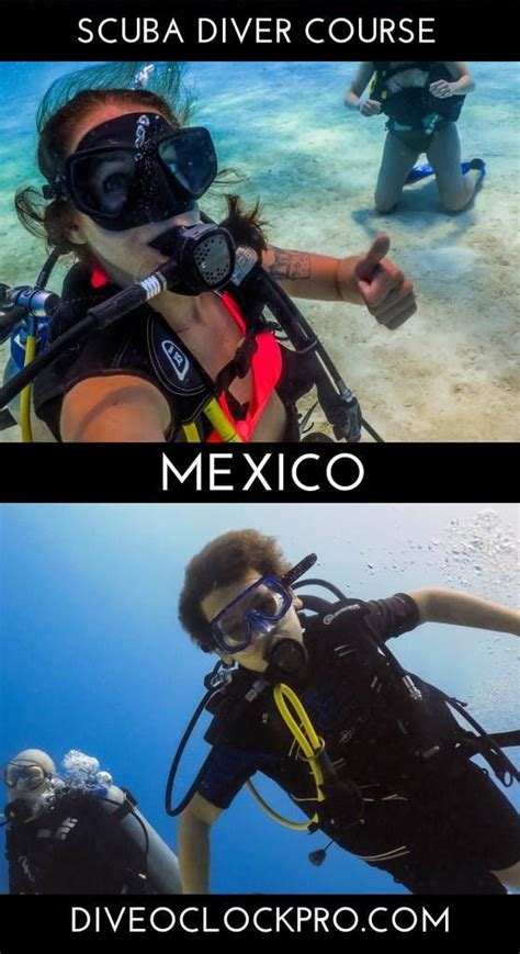 Padi Scuba Diver Course Playa Del Carmen Mexico In Best