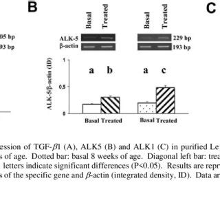 In Vitro Effect Of Hcg On The Expression Of Tgf A Alk B And