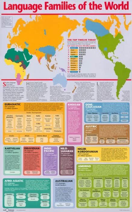 Language Families Of The World Poster X Language Map