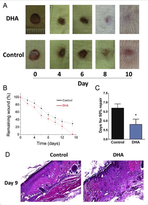 A Photographic Record Of The Progression Of Wound Healing In Male