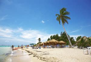 Swedish Bikini Team Old Milwaukee Beer History Story Behind The Sexiest Beer Commercials