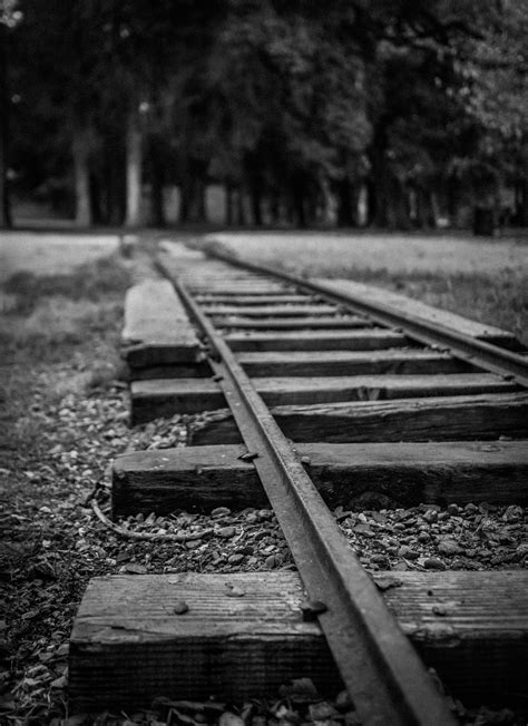 Tracks,train,black and white,railroad,railway - free image from needpix.com