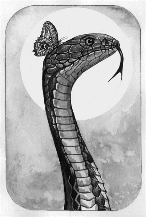 A Snake And A Butterfly Snake Inktober Art By Lusidus