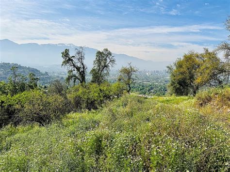 Terrenos En Vitacura CUMBRES DE SANTA MARIA Enlace Inmobiliario