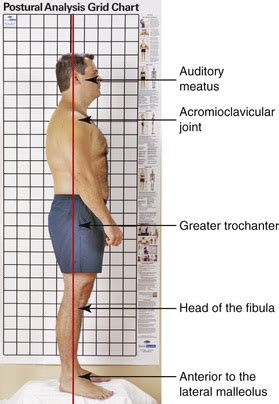 Plumb Line Posture