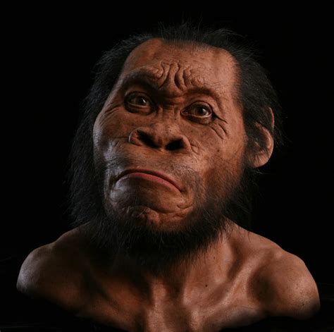 Homo Naledi John Gurche