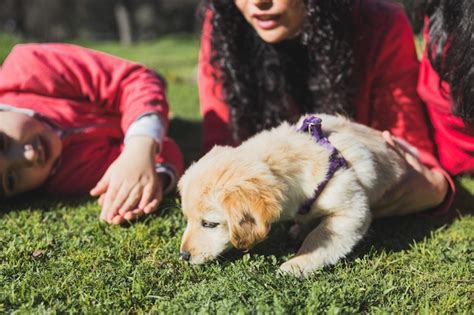 Mère Avec Ses Deux Filles Jouant Avec Un Chiot Golden Retriever Dans