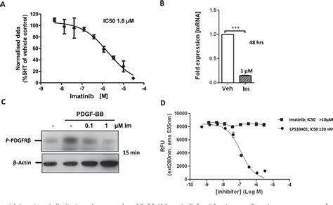 Figure From Imatinib Attenuates Hypoxia Induced Pulmonary Arterial