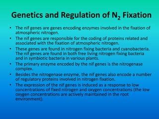 Biological nitrogen fixation | PPT | Free Download