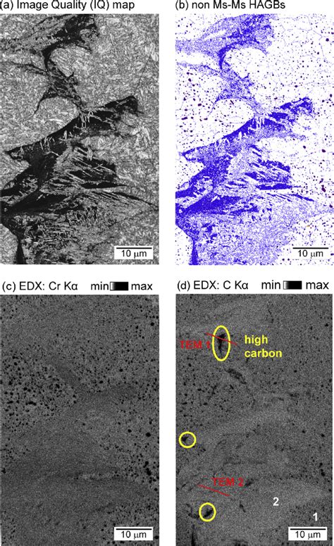 Ebsd Edx Maps Of The Wea A Iq Map B Non Martensite Martensite