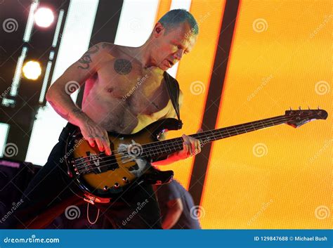 Red Hot Chili Peppers In Concert Editorial Stock Photo Image Of Peppers Michael