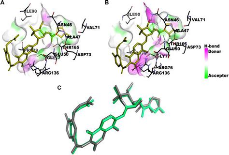 Frontiers Isolation Of Quinic Acid From Dropped Citrus Reticulata