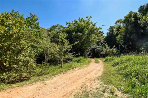 Programa Nascentes 34 hectares de área rural em Jundiaí estão em