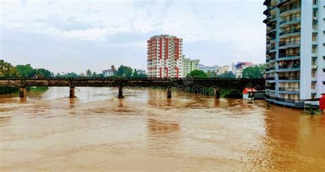 Periyar River on the Background of Green Trees Stock Photo - Image of ...