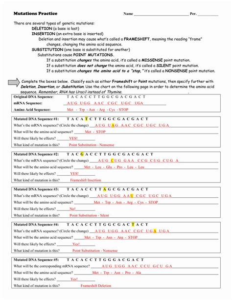 Dna Mutations Practice Worksheet Key