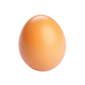 Chicken Eggs Illustration Egg Chicken Eggs Png Transparent Clipart